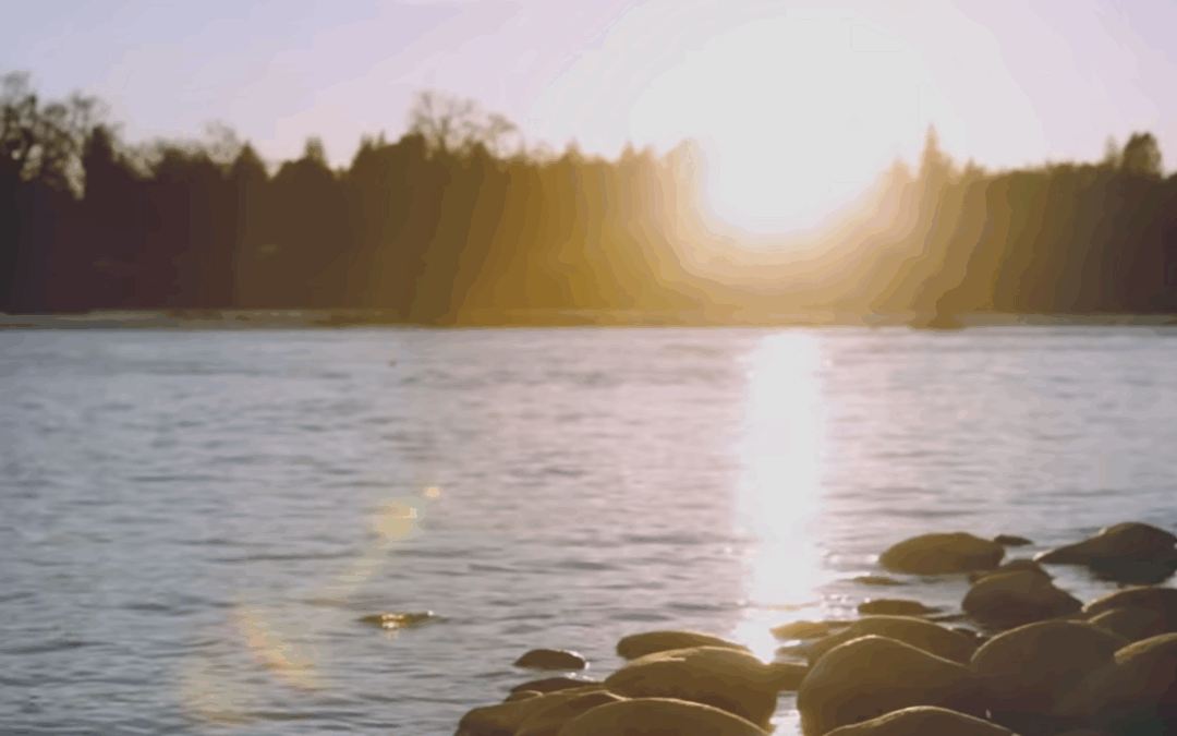 Ever Be – November 21, 2025