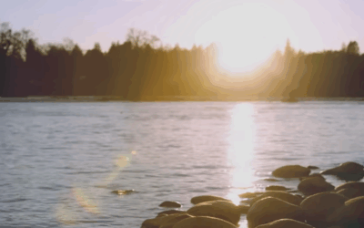 Ever Be – November 21, 2025